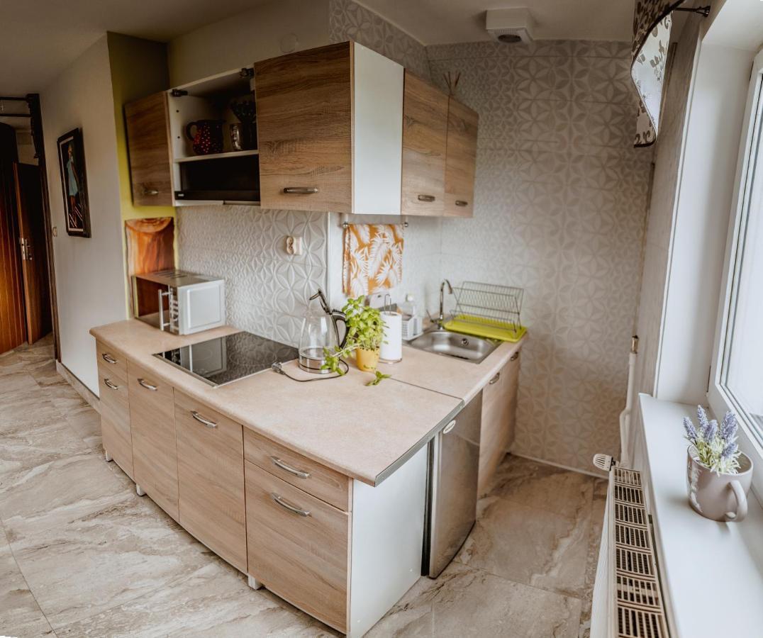 Apartament Gazdowski Буковина Татранська Екстер'єр фото